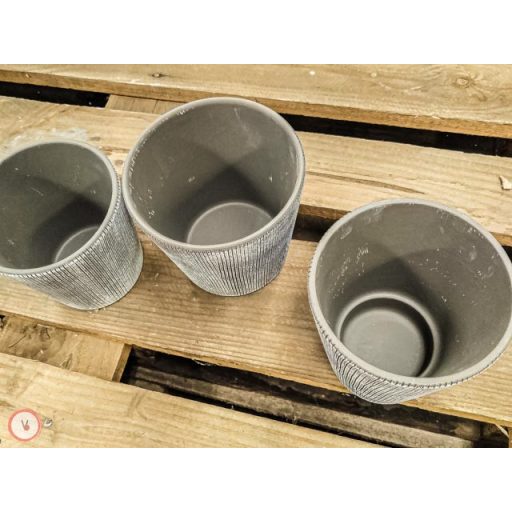 beton kaspó csíkos orchideás