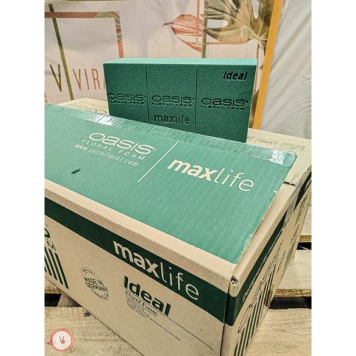 oázis vizes tégla max life 
